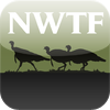 no app image