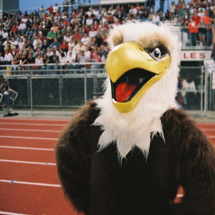 Alg 2 Ch 3 Linear Systems EPHS